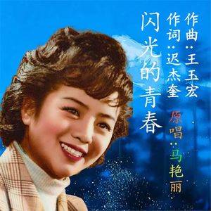 闪光的青春