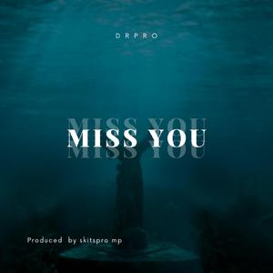 Miss you (feat. Dr pro)