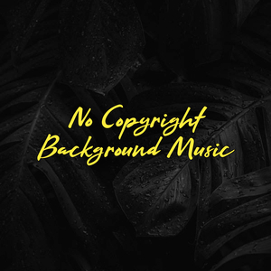 No Copyright Background Music