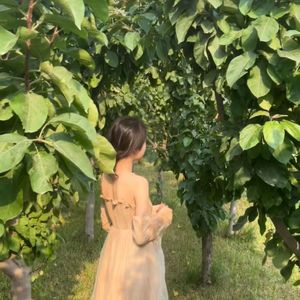 我的纸飞机（吉他温柔版）