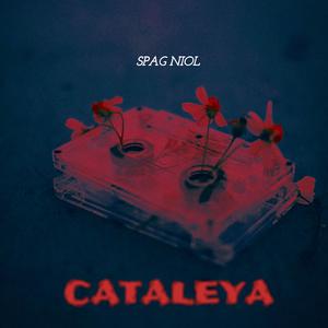 CATALEYA