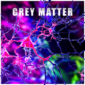 Memorization Techniques