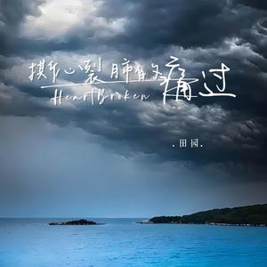 撕心裂肺的痛过（DJ默涵版）