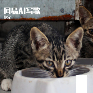 职场不过是潮来潮往