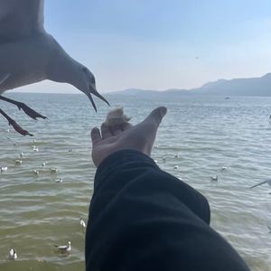 末班车驶向打谷场