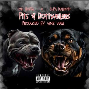 Pits & Rottweilers (feat. Supa Kaliente & Vinz Vega)
