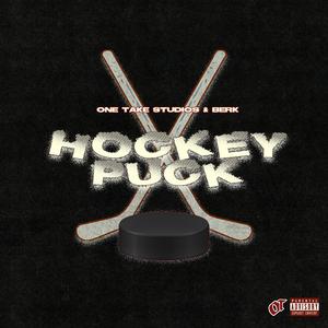 Hockey Puck