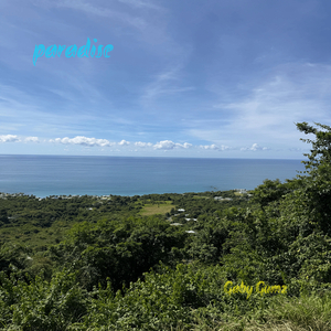 Pasajera
