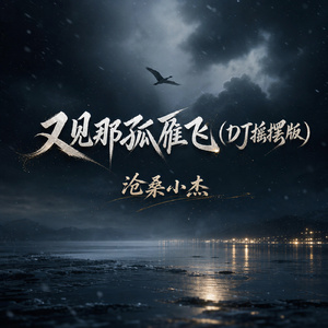 又见那孤雁飞(DJ摇摆版)