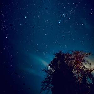 いつかまた星になる