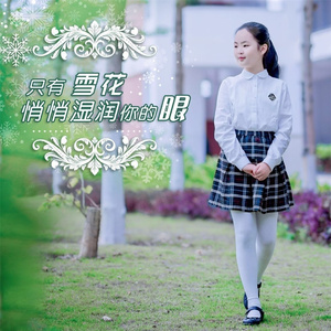 只有雪花悄悄湿润你的眼