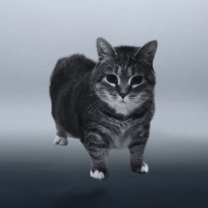 That's What I Like Oiia