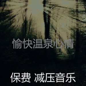 抚慰的平静的回忆