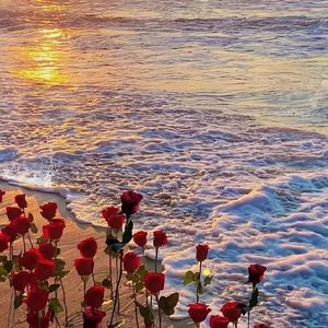 阿拉斯加海湾2.0