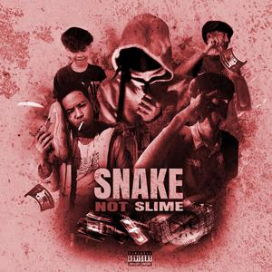 Snake not slime (feat. Lil Besia, Krayziebus & ArRyhm Boys)