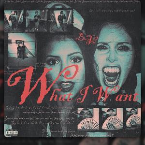 Dis what i want (feat. Vile 7)