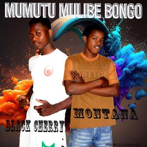 Mumutu Mulibe Bongo(Montana & Black Cherry)