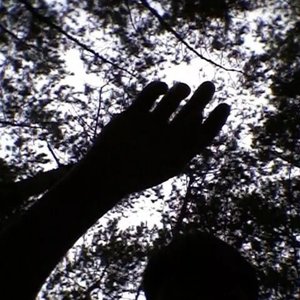 半张废纸--《半个梦》