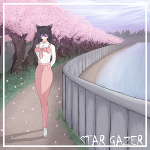 Star Gazer