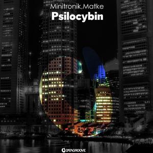 Psilocybin (Original Mix)