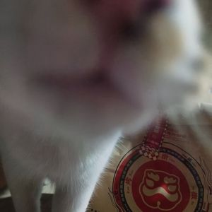 冬至快乐