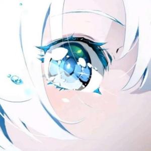 プレゼント（礼物）