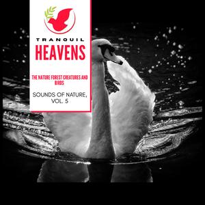 Sound of the Small Stream