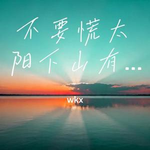 不要慌太阳下山有月光 (wkx Remix)