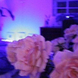 Player Interlude (Prod. Mitchell Quan)