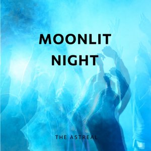 Moonlit Night