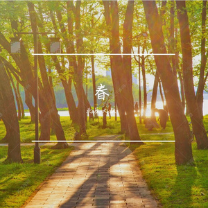 红似火，白如云，粉似霞 伴奏