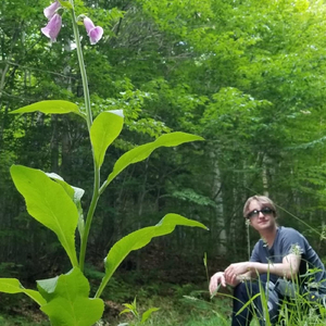 Take a Deeper Look (Live)