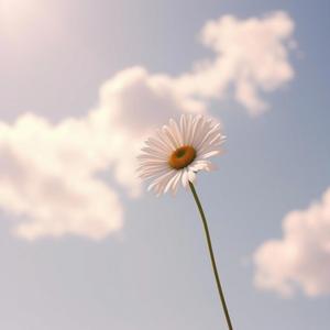 A beautiful one (instrumental)