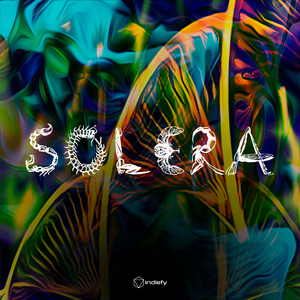Solera