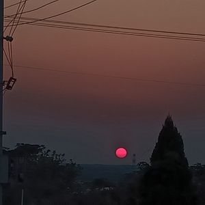 长大的世界