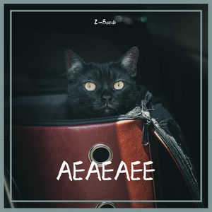 AEAEAEE