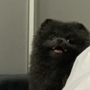 朋友圈（要怪就怪我不争气）