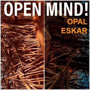 Open Mind! (feat. Karl Blau)