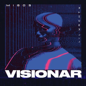 Visionar