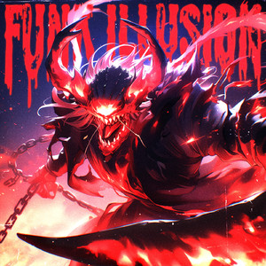 FUNK ILLUSION
