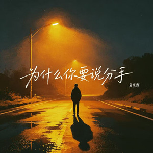 为什么你要说分手(烟嗓男版伴奏)