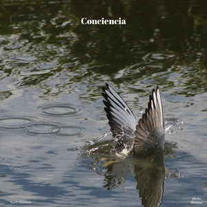 Conciencia