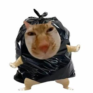 败给距离的异地恋