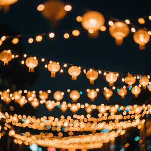 种一片温柔的荒凉