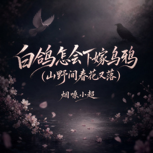 白鸽怎会下嫁乌鸦(山野间春花又落)