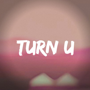 Turn U