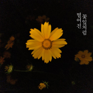 떨어진 꽃잎처럼