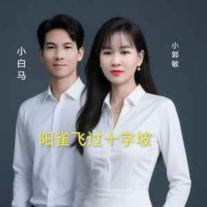 阳雀飞过十字坡