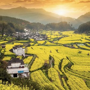 变音_我来人间一趟-魏佳艺-