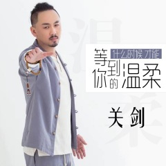 什么时候才能等到你的温柔 (DJ枫叶版)